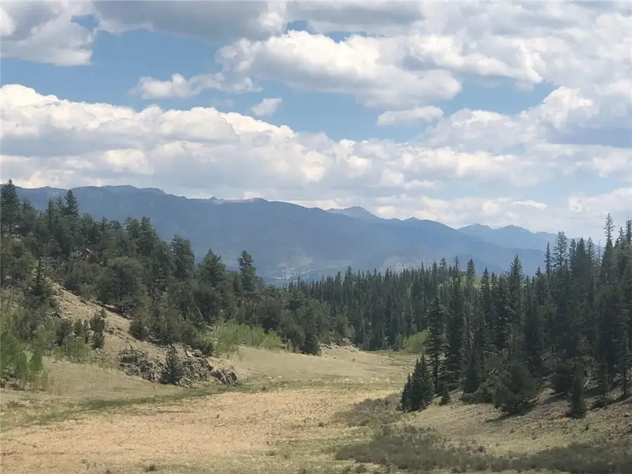 1135 Swiggler Road, Jefferson, CO 80456 - #3