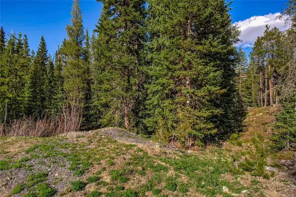 163 Lakeview Drive, Breckenridge, CO 80424