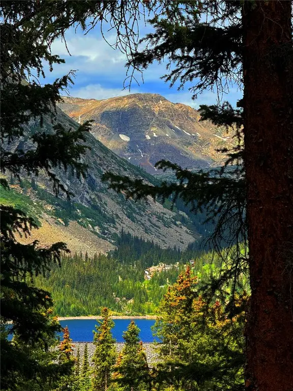 157 Goldfinch Place, Alma, CO 80420