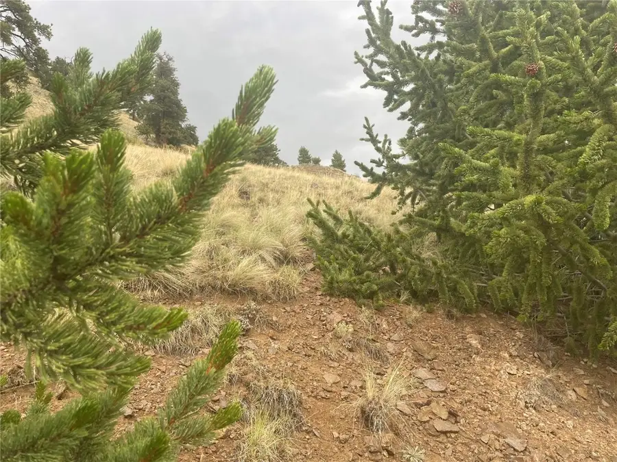 901 Elkhorn View Drive, Como, CO 80432 - #2