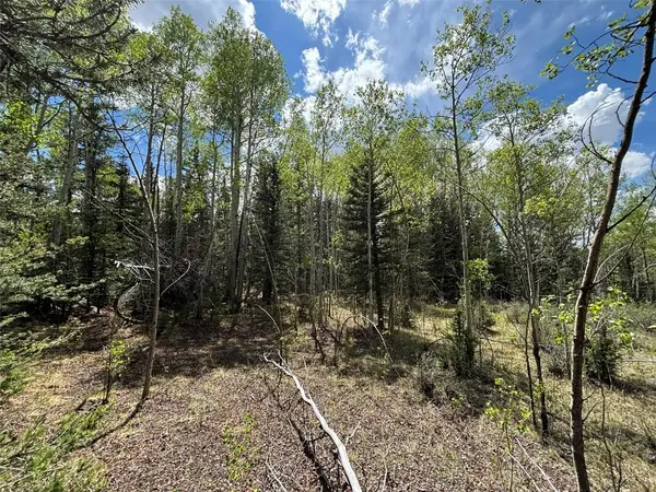 113 Ithaca Lane, Como, CO 80432