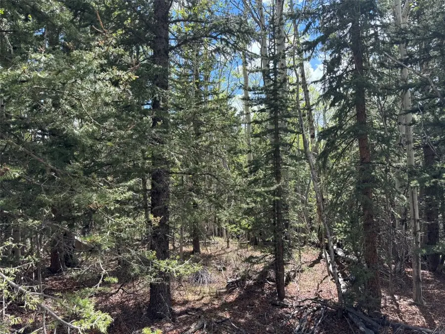 75 Ithaca Lane, Como, CO 80432 - Image #2