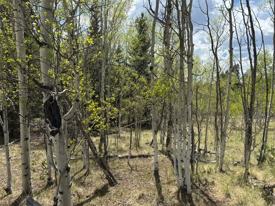 75 Ithaca Lane, Como, CO 80432 - Image #3