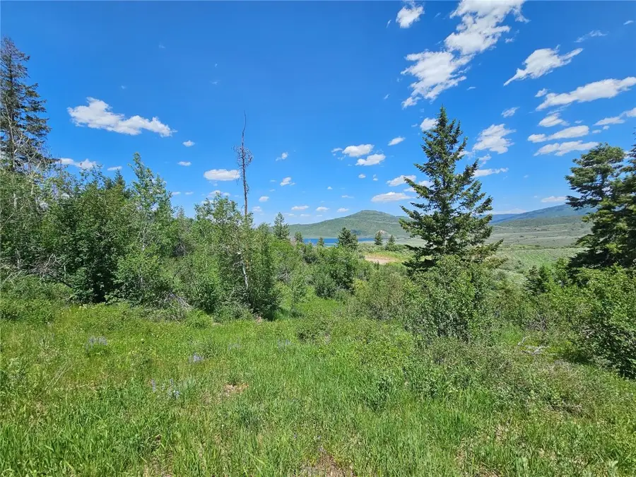 06 Youngs Creek Way, Oak Creek, CO 80467 - Image #3