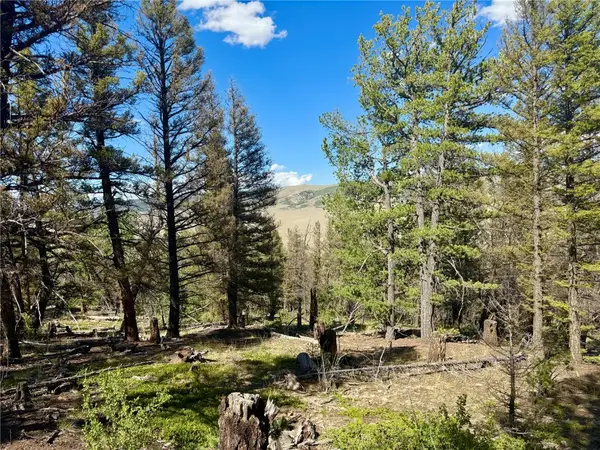 Lot 223 Middle Fork Vista, Fairplay, CO 80440