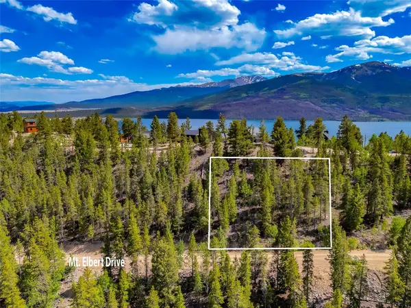 198 Mt Elbert Road, Twin Lakes, CO 81251