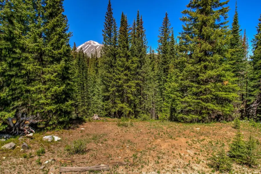 0307 Cr 674, Blue River, CO 80424 - Image #2