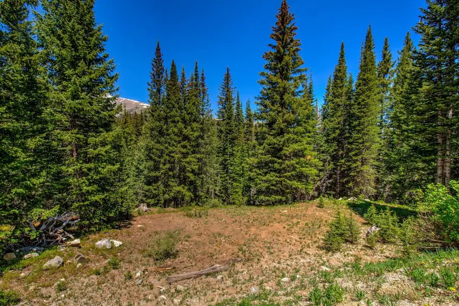 0307 Cr 674, Blue River, CO 80424 - Image #3