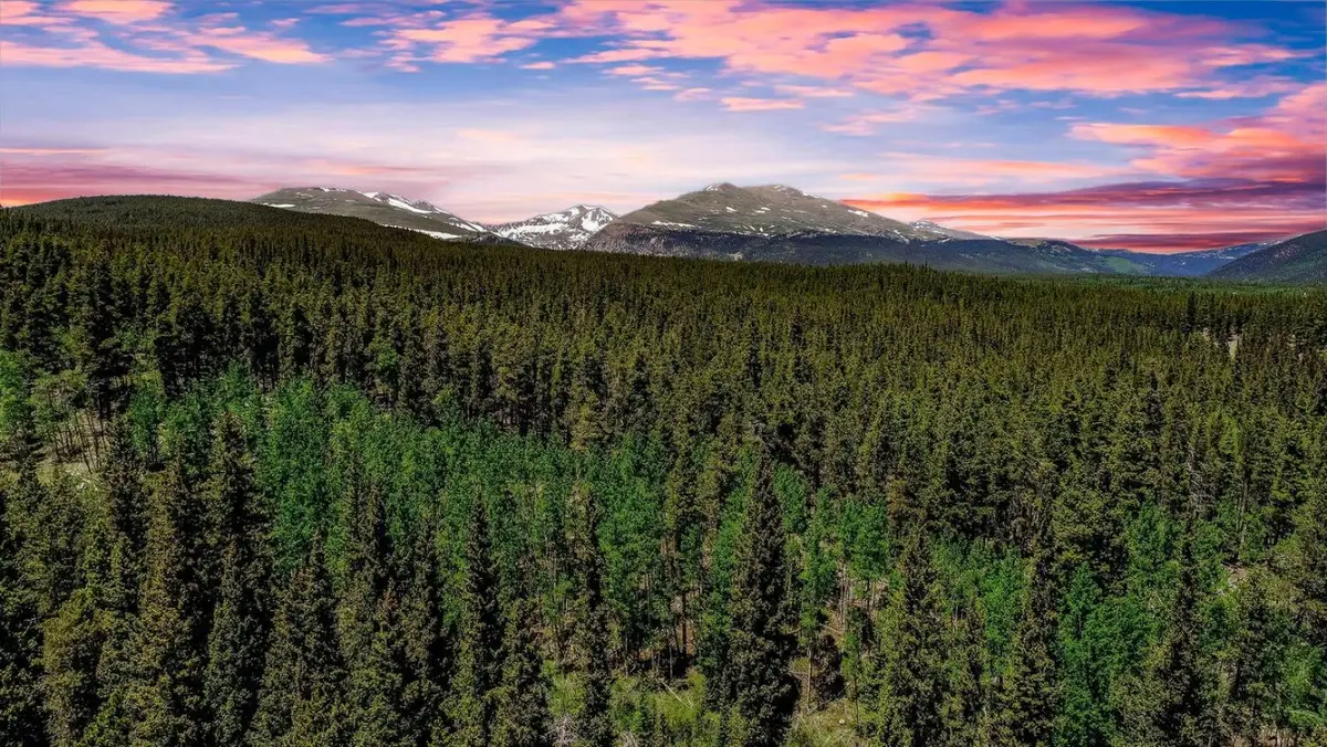 4100 Co Rd 1, Fairplay, CO 80440 - #1