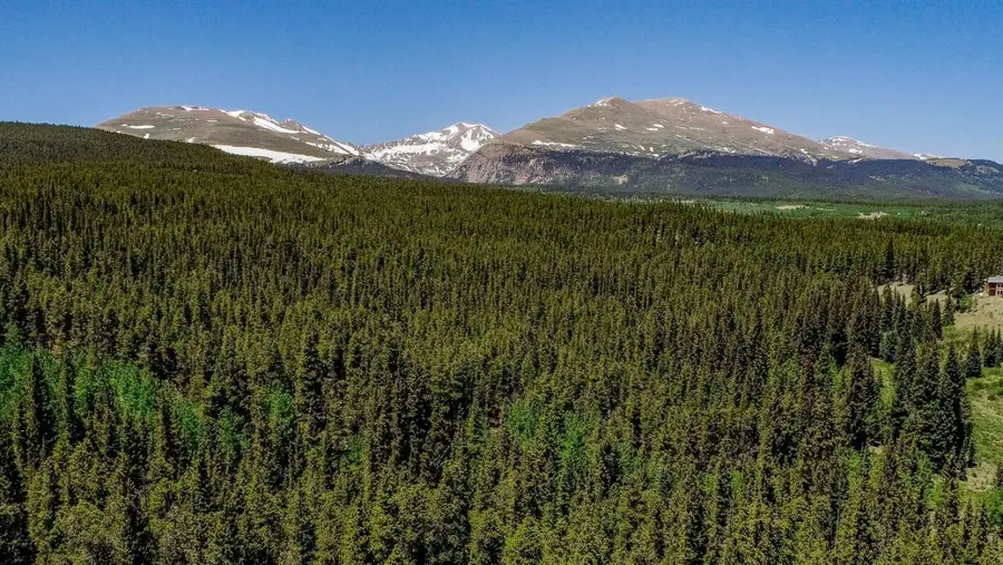 4100 Co Rd 1, Fairplay, CO 80440 - #2