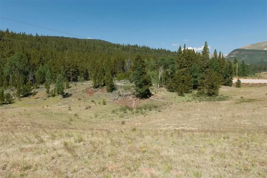 374 High River Court, Alma, CO 80420 - Image #2