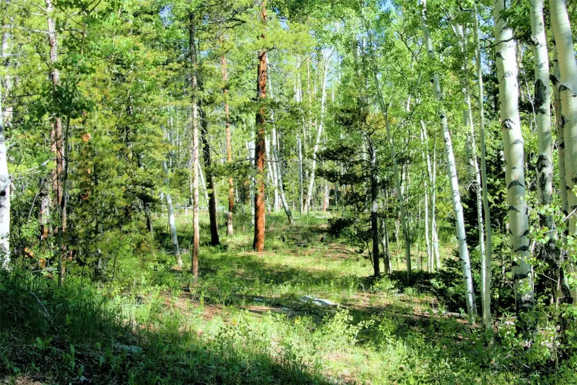 0 Kens Road, Fairplay, CO 80440 - Image #1