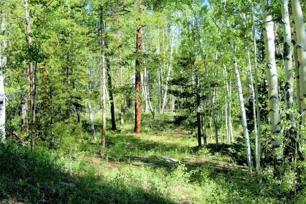 0 Kens Road, Fairplay, CO 80440