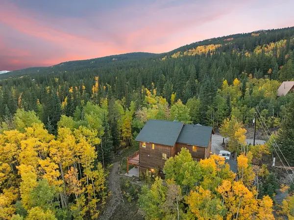 294 Mine Dump Road, Alma, CO 80440