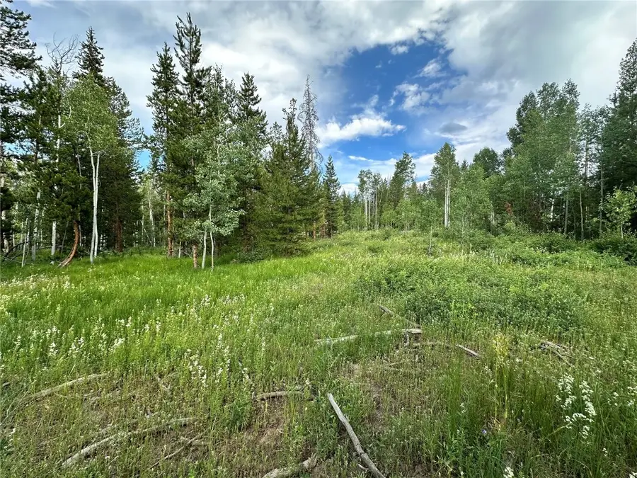 TBD Mustang Way, Oak Creek, CO 80467 - Image #3