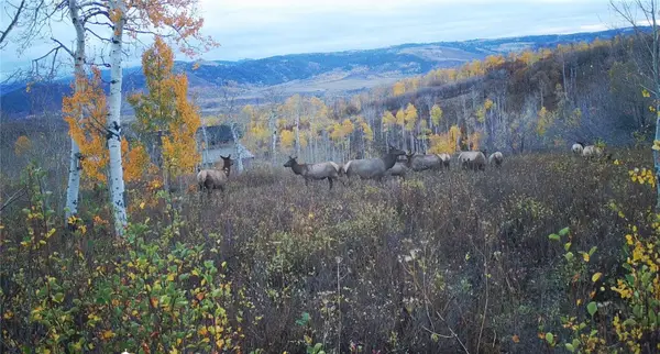 55966 Hannahs Way, Clark, CO 80428