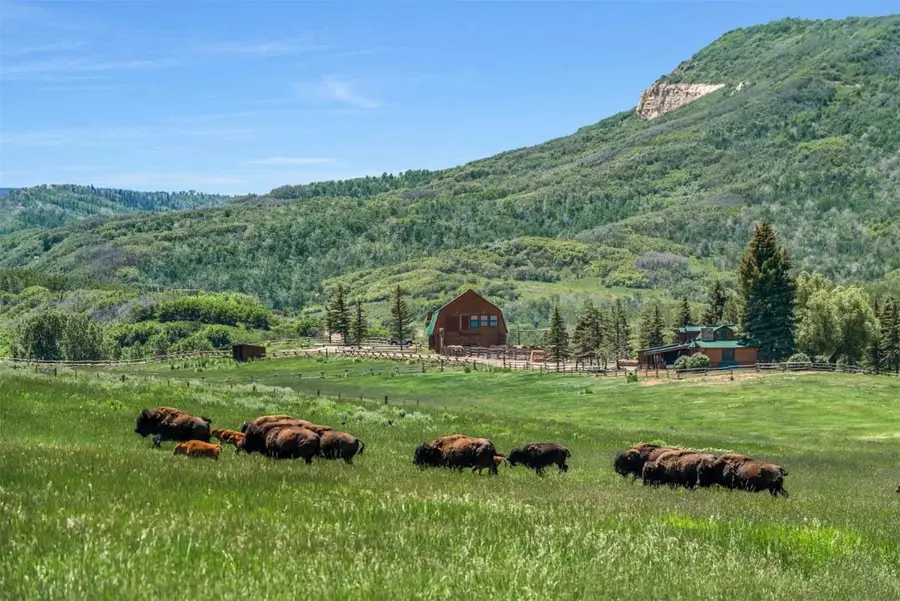 26760 Rimrock Trail, Oak Creek, CO 80467 - Image #2