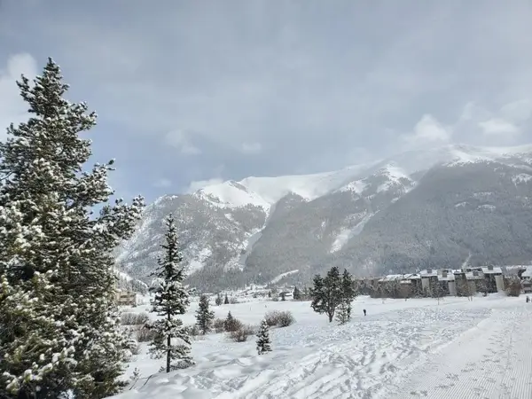 219 Wheeler Place #18, Copper Mountain, CO 80443