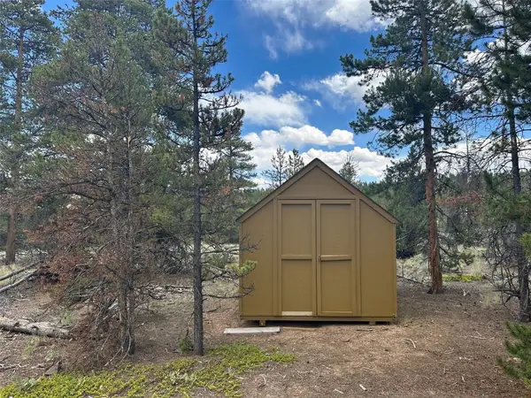 29 Cedar Drive, Twin Lakes, CO 80461