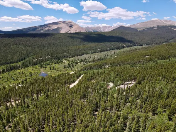 000 Melba Lane, Fairplay, CO 80440