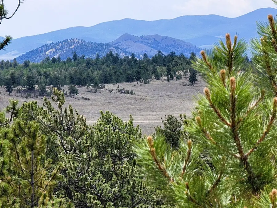 1051 Arapahoe Trail, Hartsel, CO 80449 - Image #2