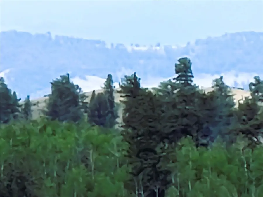 1051 Arapahoe Trail, Hartsel, CO 80449 - Image #3