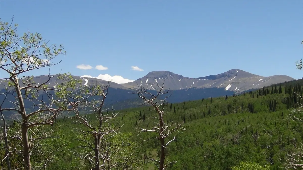 74 Forest Drive, Fairplay, CO 80440 - #1