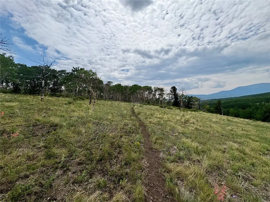 74 Forest Drive, Fairplay, CO 80440 - #3