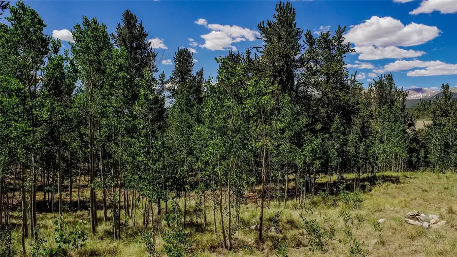 308 Quarry Road, Fairplay, CO 80440 - #3