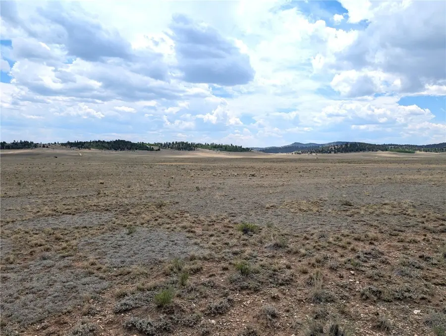 956 Apache Trail, Hartsel, CO 80449 - #2