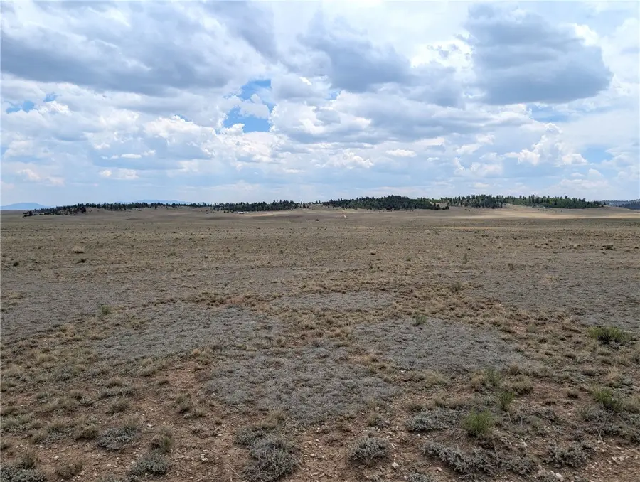 956 Apache Trail, Hartsel, CO 80449 - #3