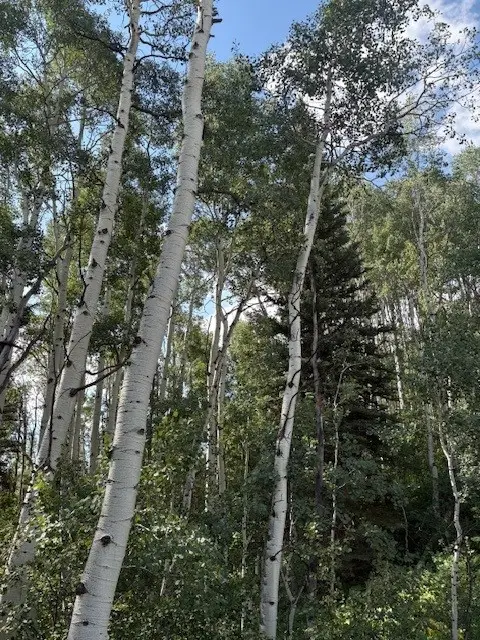 1874 Gcr 162, Kremmling, CO 80459 - Image #2