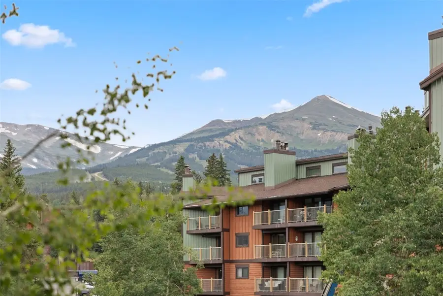 100 S Park Avenue #W308, Breckenridge, CO 80424 - Image #2