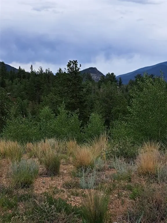 639 Spade Place, Jefferson, CO 80456 - #2