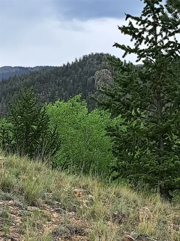 639 Spade Place, Jefferson, CO 80456 - #3