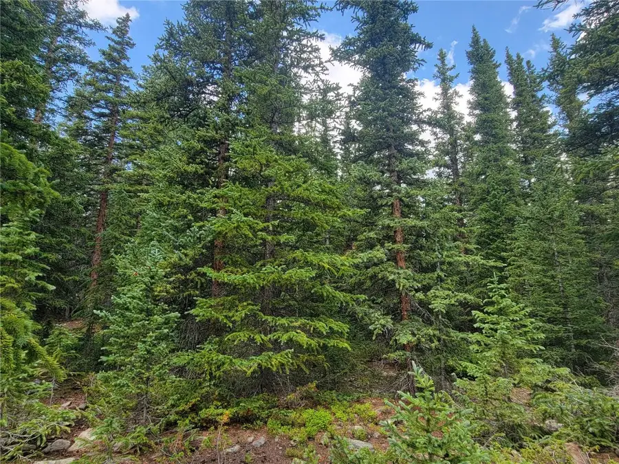 461 Prunes Place, Fairplay, CO 80440 - Image #3