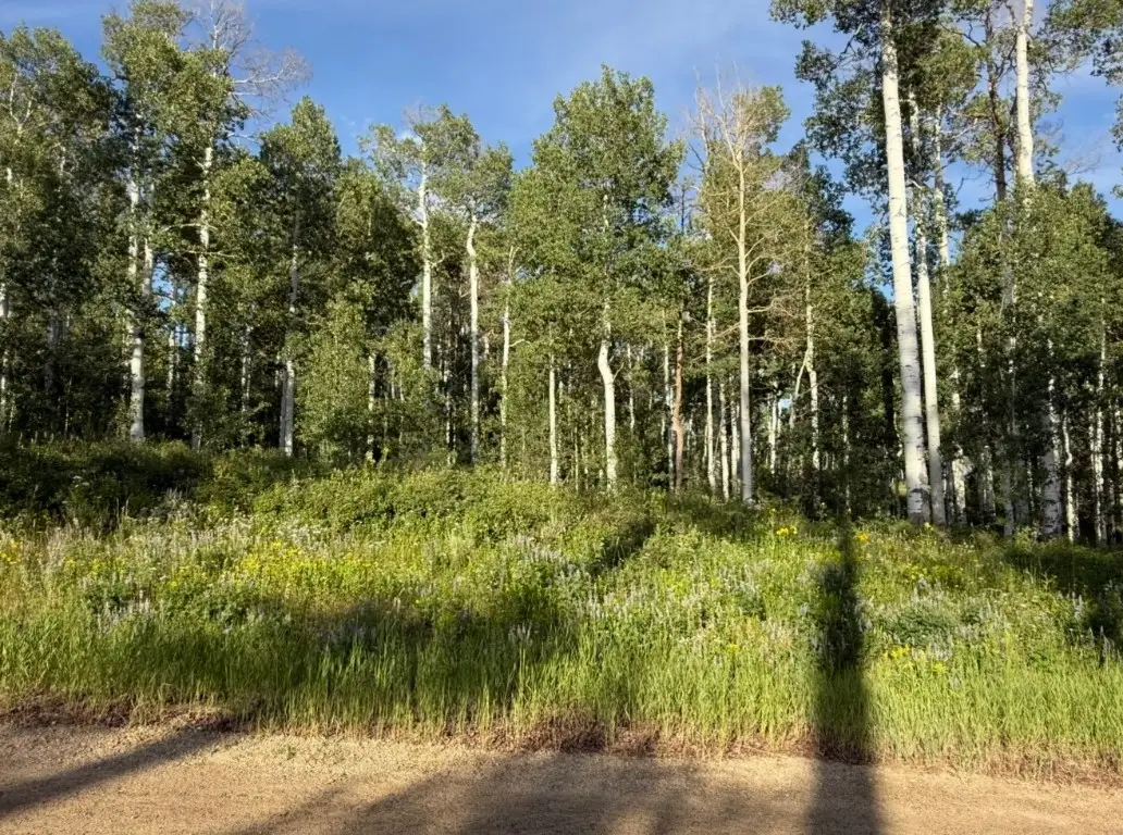 26320 Beaver Canyon Drive, Clark, CO 80428 - Image #1