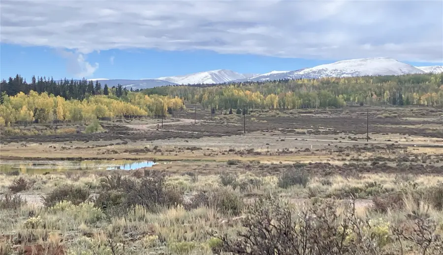 1344 Silverheels Road, Fairplay, CO 80440 - #2