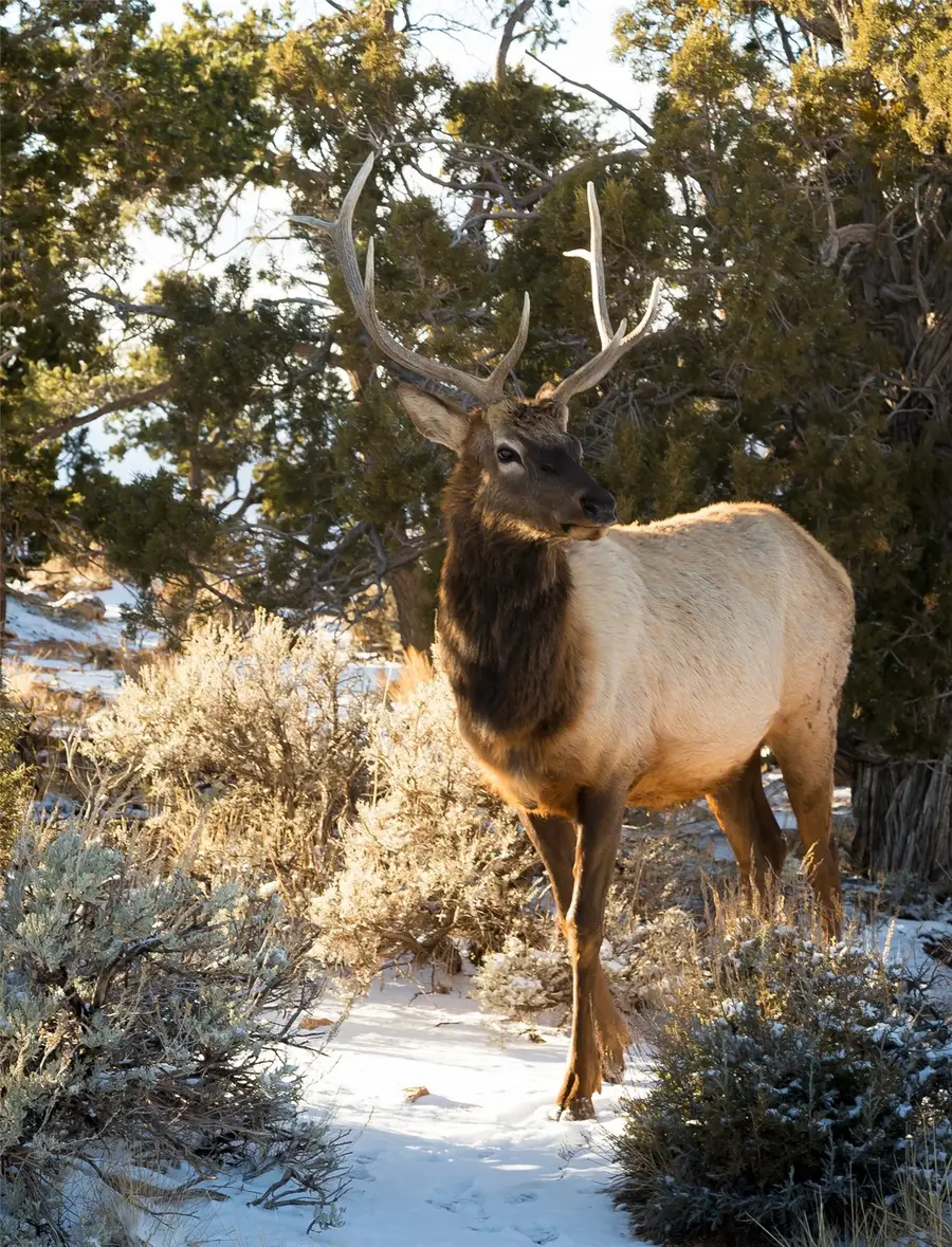 1344 Silverheels Road, Fairplay, CO 80440 - #3