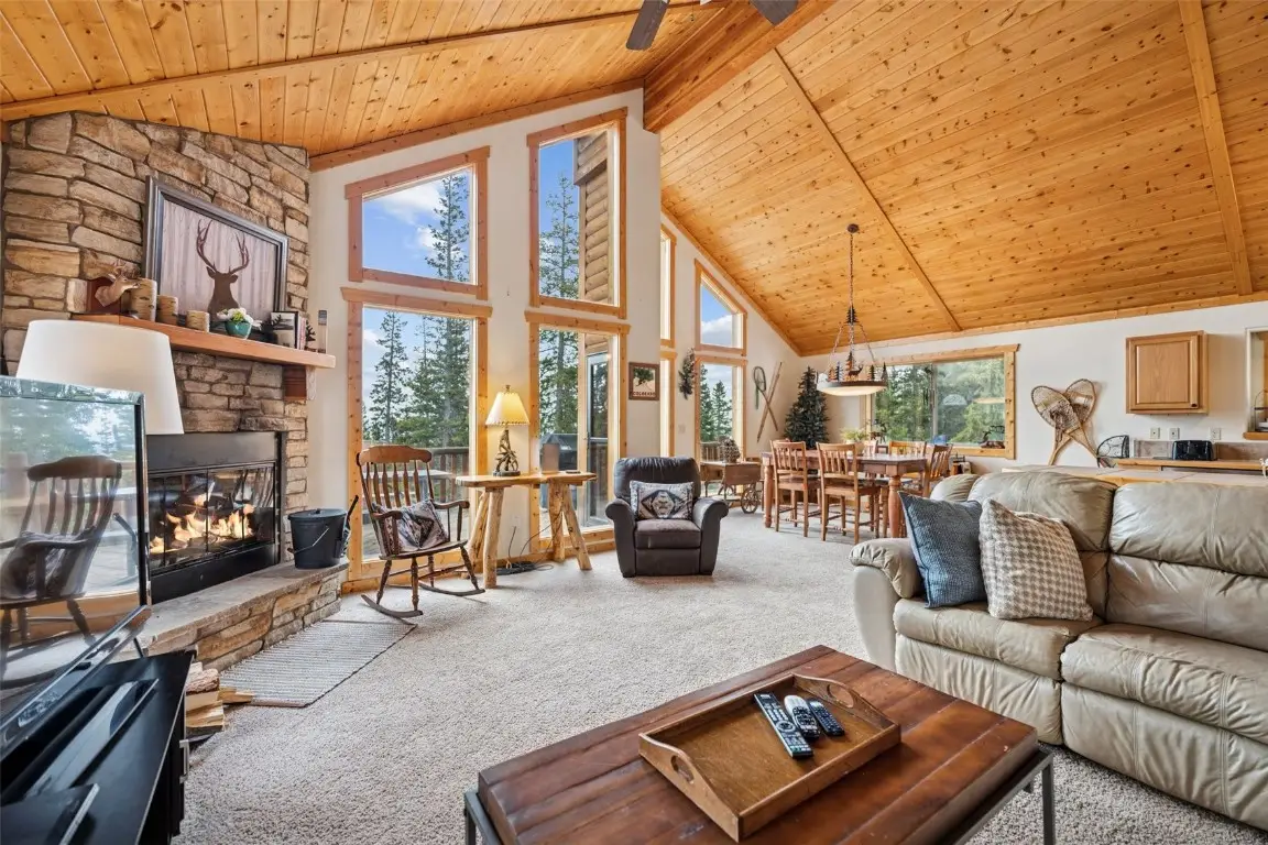 585 Miners Way, Fairplay, CO 80440 - Image #1