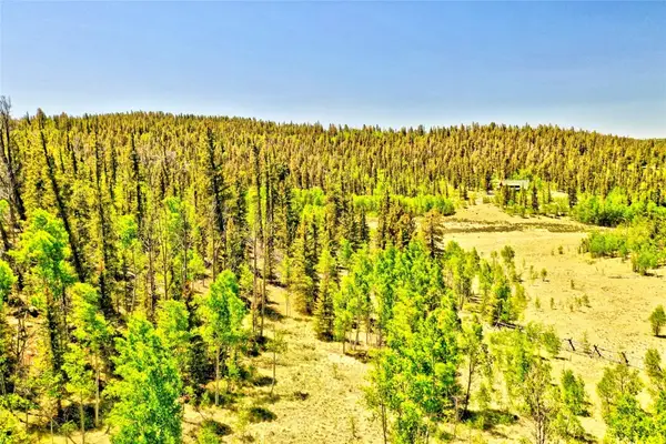 445 Warpath Road, Como, CO 80432