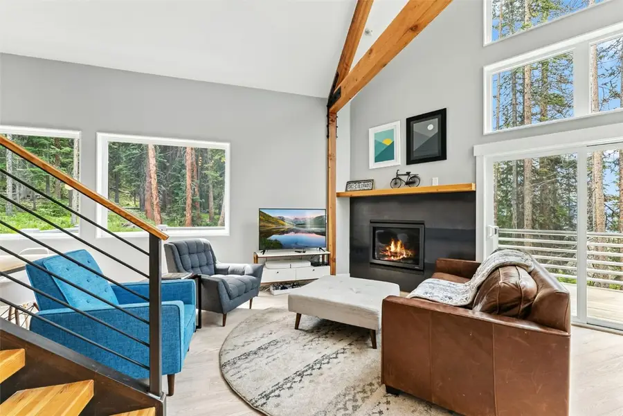 328 Cr 535, Breckenridge, CO 80424 - Image #3