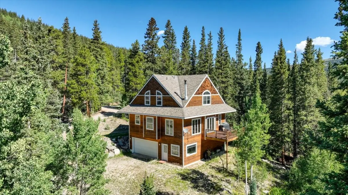 234 Peterson Drive, Alma, CO 80420 - Image #1