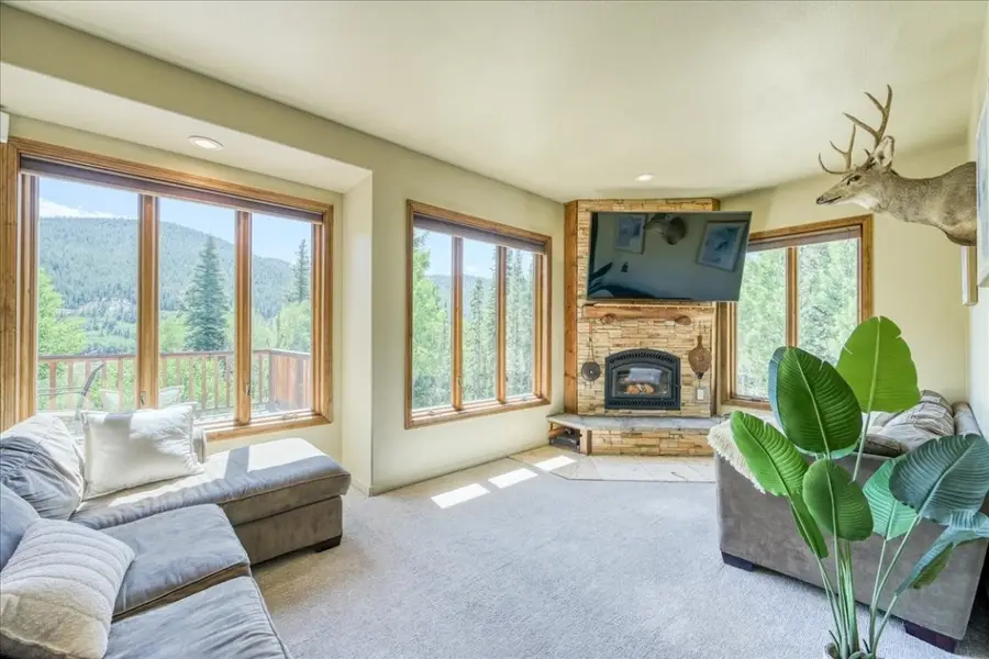 234 Peterson Drive, Alma, CO 80420 - Image #2