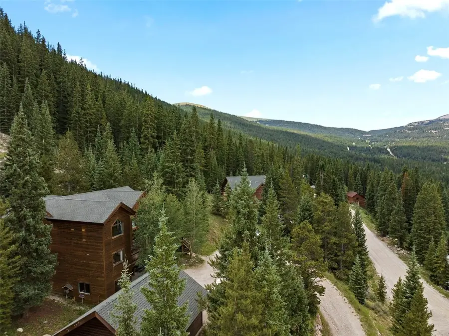 32 Red Fox Drive, Breckenridge, CO 80424 - Image #3