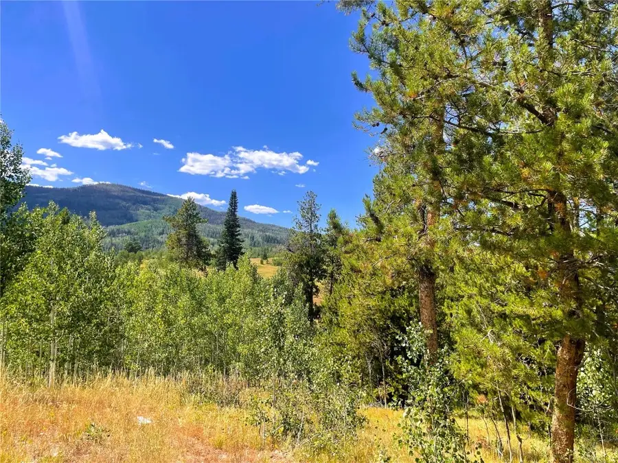 32960 Maverick Way, Oak Creek, CO 80467 - #2