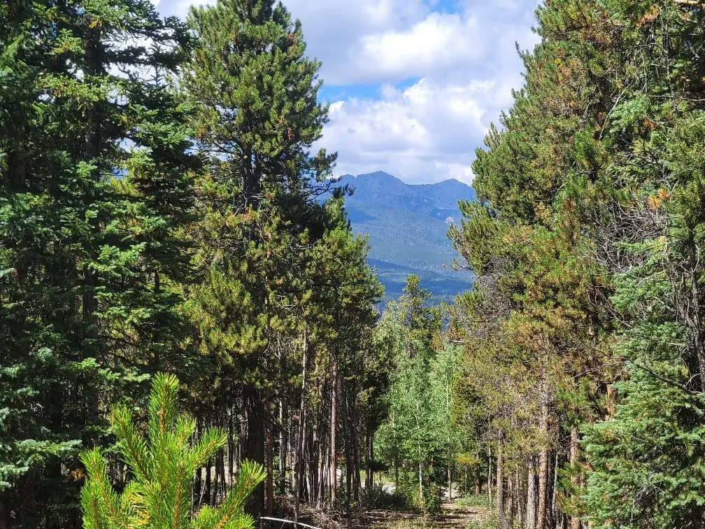 285 Green Jay Lane, Breckenridge, CO 80424 - Image #1