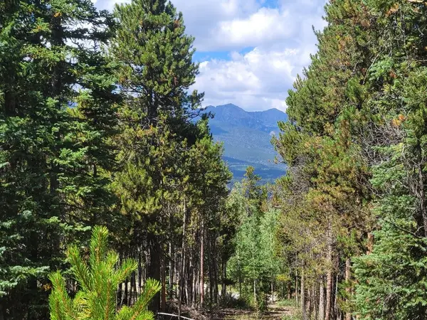 285 Green Jay Lane, Breckenridge, CO 80424