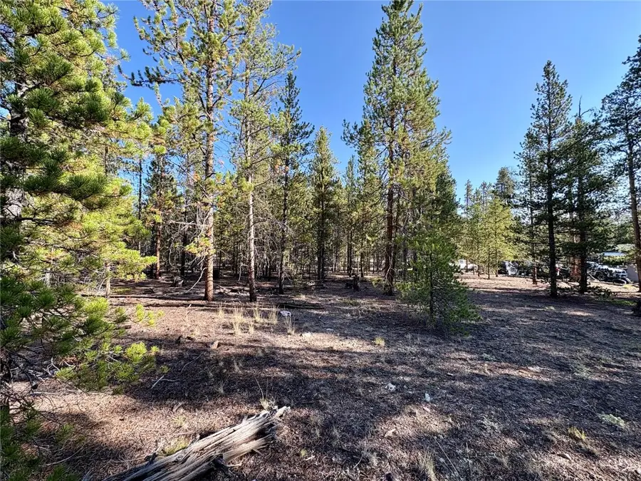 776 Birch Drive, Leadville, CO 80461 - #2