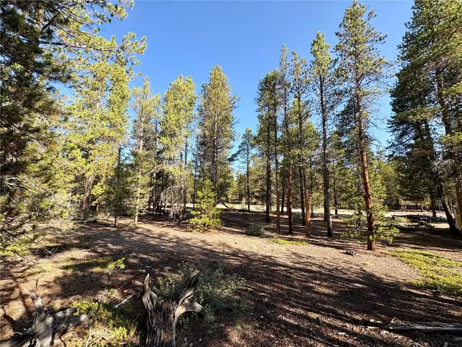 776 Birch Drive, Leadville, CO 80461 - #3